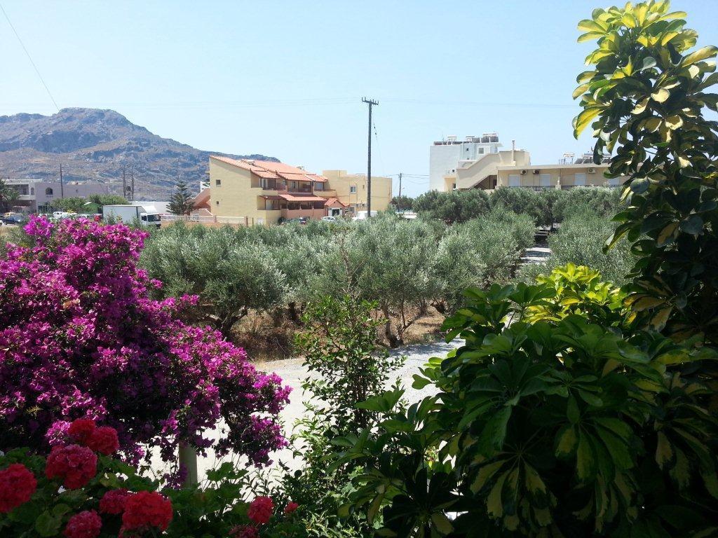 Ιππόκαμπος Δωμάτια Πλακιάς Εξωτερικό φωτογραφία